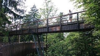 Germany - Tree top walk