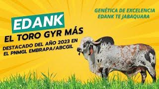 EL TORO GYR MÁS DESTACADO DEL AÑO 2023 EN EL PNMGL EMBRAPA/ABCGIL