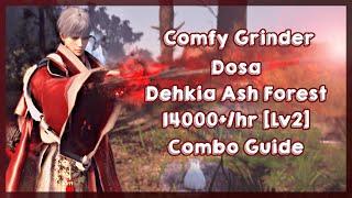 Dehkia Ash Forest | Succession Dosa 326AP | 14000+ [Lv2] | Black Desert Online
