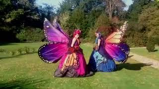 Butterflies that glide - interactive entertainers for hire