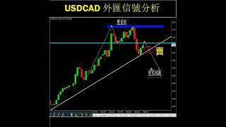 USDCAD美元兑加元:  外匯交易分析预测 #美元 #加元