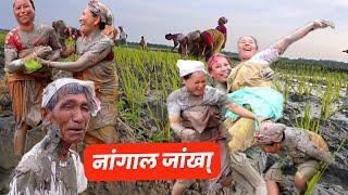 Hal  Jangkra ||  Bodo Traditional Agriculture Celebration