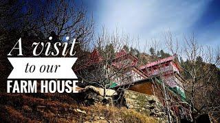 A visit to our Farmhouse|#RohitBansha|#peace_n_infinity#CHIRGAON#ROHRU #SHIMLA #HIMACHAL PARDESH