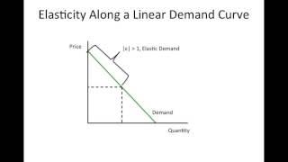 Market Demand and Elasticity