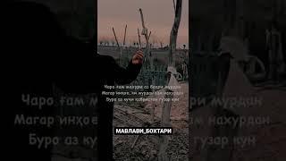 Мавлави Бохтари