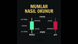 Mumlar nasıl okunur  #bitcoin #borsa #borsaanaliz #trading #yatırım #yatırım #tradingview #mum