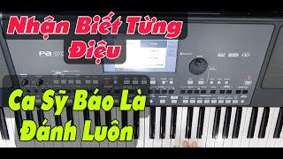 Tổng Hợp Các Điệu Để Đánh Mọi Bài Hát Trên Organ | Báo Điệu Là Biết Bài Gì | Mẹo Đệm Hát | #54