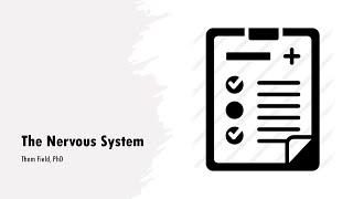 The Nervous System and Neurotransmission