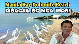 Manila Bay Dolomite Beach Dinagsa nga Mga Ibon #fyp