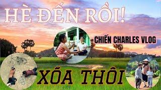 Mùa Hè Ở Quê với hồi ức tuổi Thơ Trong Vắt Giữa Đồng Lúa Thơm