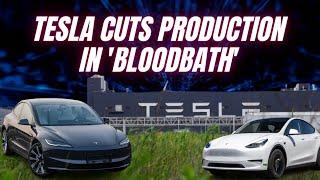Chinese media claim Tesla has cut car production amidst 'EV bloodbath'