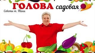 Голова садовая - Когда убирать СВЕКЛУ