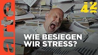 Brauchen wir mehr Stress?  | 42 - Die Antwort auf fast alles | ARTE