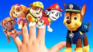 PAW PATROL Kids Song: BEST Nursery Rhymes For Children | Keiki Kids Songs