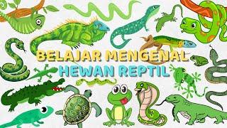 Belajar Mengenal Nama-Nama Reptil Bahasa Indonesia & Bahasa Inggris | Learn Names of Reptiles