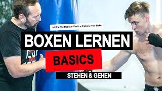 Boxen lernen | Stekos ultimatives Box-Tutorial Nr. 1 - Stehen / Gehen