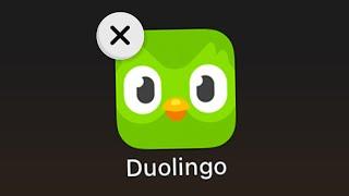 When You Delete Duolingo...