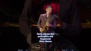 Ending of #flyingwiththebird with @OliverWestonmusic for his #saxophonecourses on MusicGurus.com