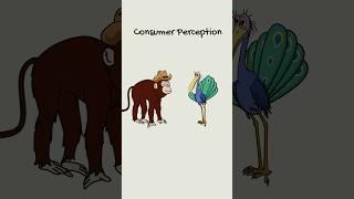 How Consumer Perception Works-Zoo Economics #finance #animation