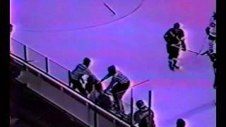 Sylvain Couturier vs. Jim Nesich AHL 14/02/89