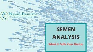 What a Semen Analysis Tells Us