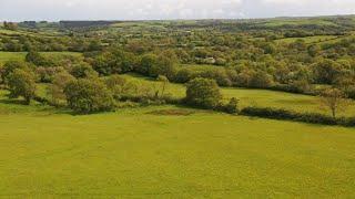 Introducing Kingcombe National Nature Reserve