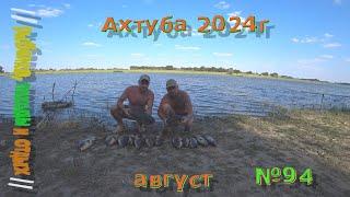 Ахтуба 2024 !!! Астраханская область рыбалка . Ловля сазана . Неделя рыбалки . Отдых дикарями