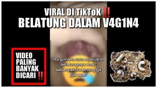 Viral‼️ Maggots in the Vagina on TikTok, this is what the experts say