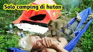 Solo camping bermalam di hutan