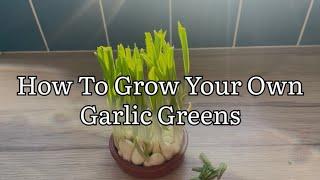 How To Grow Your Own Garlic Greens From Old Garlic Bulbs