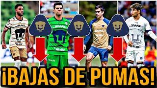 ÚLTIMA HORA COMIENZA la LIMPIA en PUMAS  | LLEGARÍA A PUMAS |  REFUERZOS PUMAS 2024