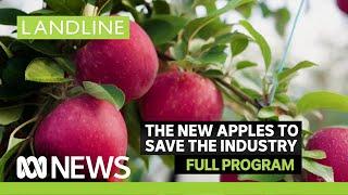 Landline | New apple varieties to tempt us + exporting lamb to India | ABC News In-depth