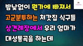 [감동 사랑사연] 밤낮없이 뭔가에 빠져서 고군분투하는 처갓집 식구들 상견례장에서 우리 엄마가 대성통곡을 하는데
