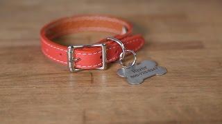 How To Attach A Hanging ID Tag Onto A Dog Collar