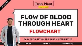 Flow of blood through Heart - Flowchart