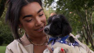 ISPCA launches national fundraising and adoption appeal