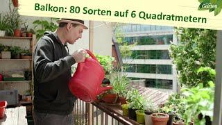 Gemüse und Kräuter auf dem Balkon anbauen | MDR