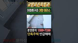 고양시신축빌라 아파트급 초대형3룸 전원주택급 테라스 고양시단독주택 반값매매