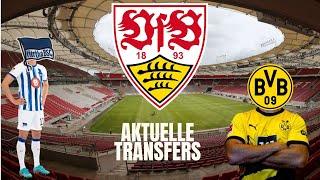 VfB Stuttgart bereitet sich auf die neue Saison vor! Aktuelle Transfers und meine 3 Top Gerüchte!