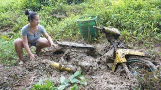 Rescuing a motorbike abandoned after the storm is very difficult - Genius Girl Restoration