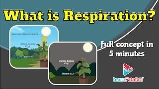 What is Respiration? | Class 10 Life Processes - LearnFatafat