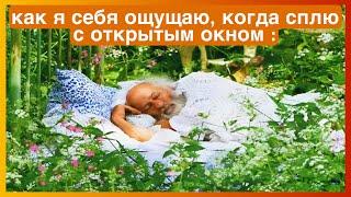 тикток с открытым окном | подборка мемов