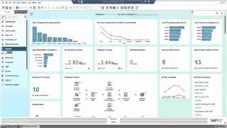 SAP Business One Overview (HANA Version)