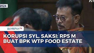 Saksi Pada Sidang Kasus Korupsi SYL Ungkap BPK Minta Uang ke Kementan untuk WTP Food Estate