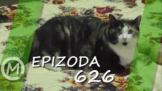 Porodica Zloća - Epizoda 626 (Season 14)