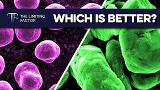 Synthetic vs Natural Anode - Which is Better? (Deep Dive)