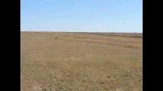 9-26-2008 Crossing Santa Fe Trail Ruts