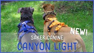 Säker Canine Canyon Light Dog Pack: my initial thoughts