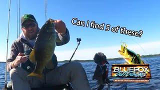 Fishing Brevoort Lake for The Upper Peninsula Kayak Angler Series, Kayak Bass Tournament