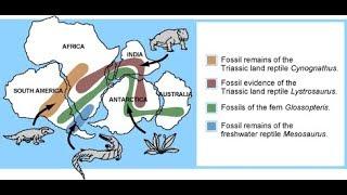 Biogeography